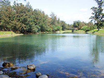 遊客素質低　台東森林公園四處飄垃圾